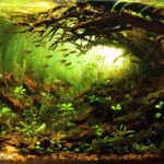 towards the light - Aqua Plants Hub