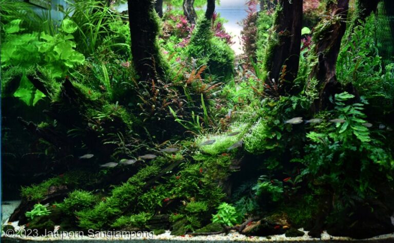 Terraquarium