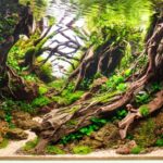 Natural Mystic - Aqua Plants Hub