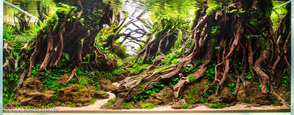Natural Mystic - Aqua Plants Hub