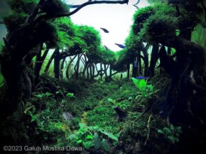 Asri ing Bawana - Aqua Plants Hub