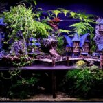 CandleLit Cove - Aqua Plants Hub