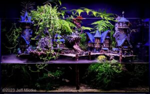 CandleLit Cove - Aqua Plants Hub