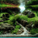 Uprising - Aqua Plants Hub