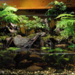 Wonderland - Aqua Plants Hub
