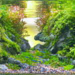 Tomorrow`s Valley - Aqua Plants Hub