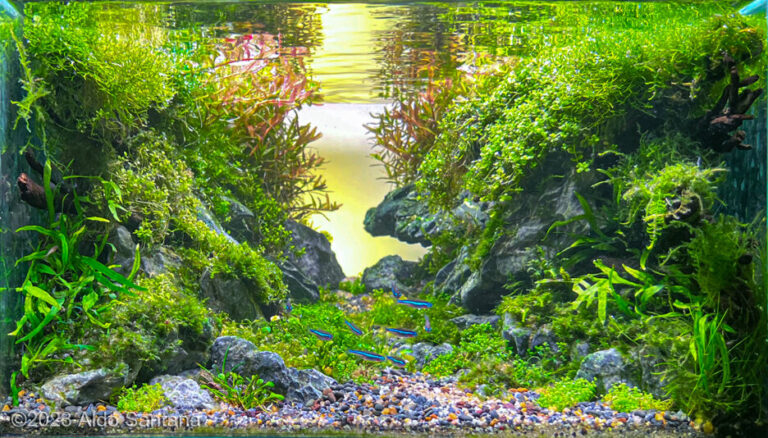 Tomorrow`s Valley