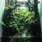 Ungasan Valley - Aqua Plants Hub