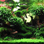 WAVES - Aqua Plants Hub