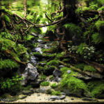 Through The Forest - Aqua Plants Hub