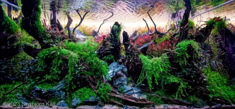Split Serenity (AGA 2023 #725)