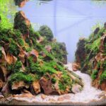 Avatar Mountains of China - Aqua Plants Hub