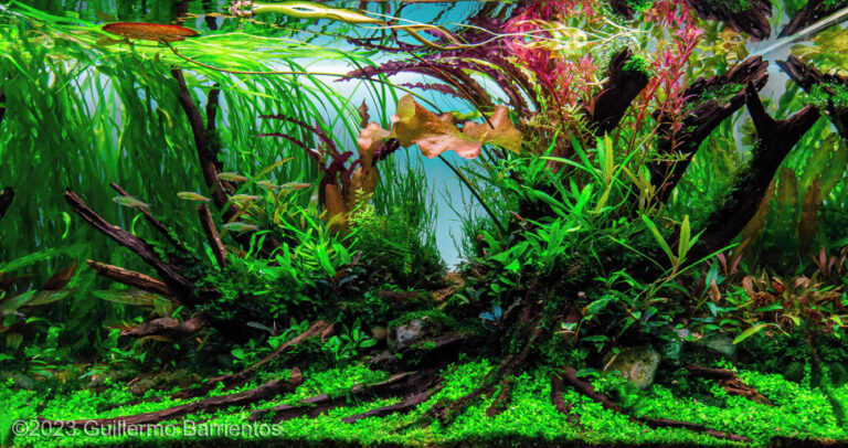 Nature Unleashed