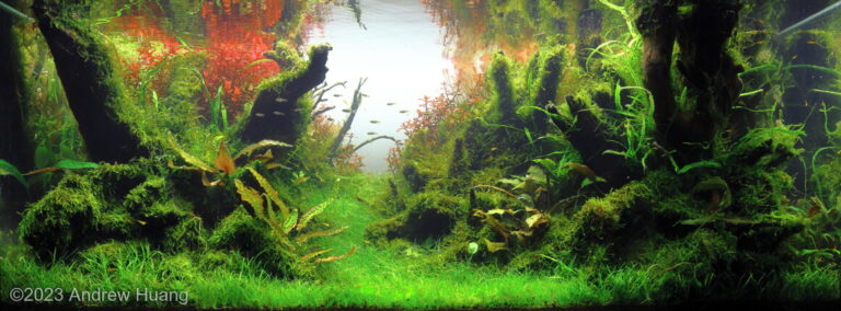 Forest Bend