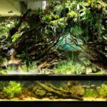 AGA 2023 Layout 754 - Aqua Plants Hub