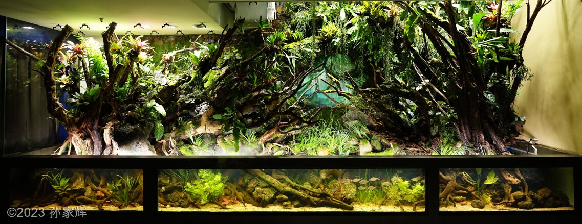 AGA 2023 Layout 754 - Aqua Plants Hub