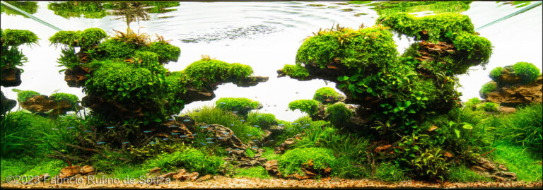 Nature shaped by the wind