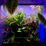 Twin Size Mattress - Aqua Plants Hub