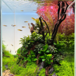 Work the bank - Aqua Plants Hub