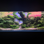 Cardinal canvas - Cardinal canvas (AGA 2024 #116) - Aqua Plants Hub