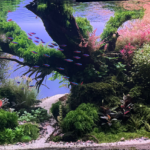 Cardinal canvas - Cardinal canvas (AGA 2024 #120) - Aqua Plants Hub