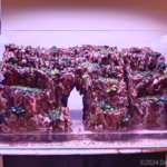 Dragons Den - Aqua Plants Hub