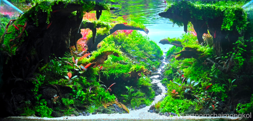 Edge of the sky - Aqua Plants Hub