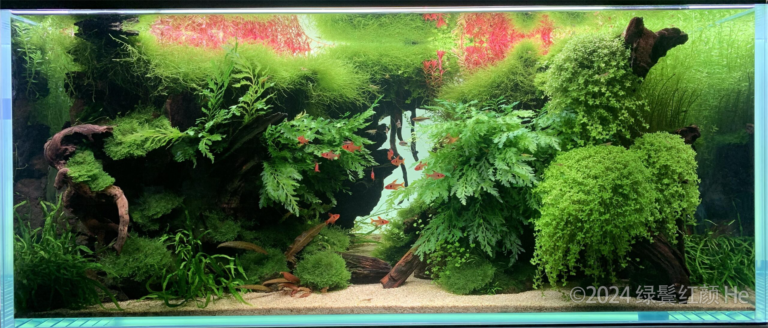 Layout 128