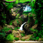 Bể tôm trồng cây với Neocaridina - Shrimp Nest - Aqua Plants Hub