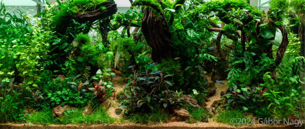 Layout 132 - Aqua Plants Hub