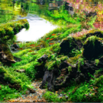 Colors In The Field - Aqua Plants Hub