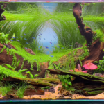 BRUMA - Aqua Plants Hub