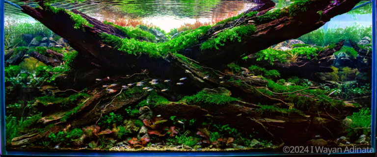 Layout 15