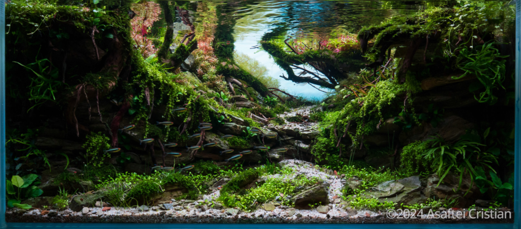 Deep - Aqua Plants Hub