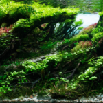 Flow - Flow (AGA 2024 #156) - Aqua Plants Hub