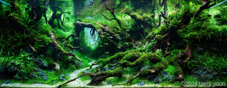 DEEPGREEN