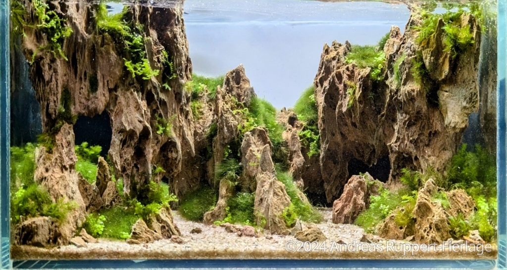 Massive Miniature - Aqua Plants Hub