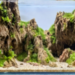 Massive Miniature - Aqua Plants Hub
