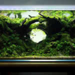 Jungle Tunnel - Aqua Plants Hub