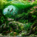 Rolling River - Aqua Plants Hub