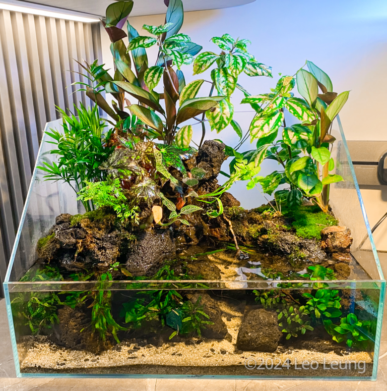 Nature Home