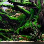 Kingdom of Green Roots - Aqua Plants Hub