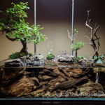 CREEKBED 2.0 - CREEKBED 2.0 (AGA 2024 #178) - Aqua Plants Hub