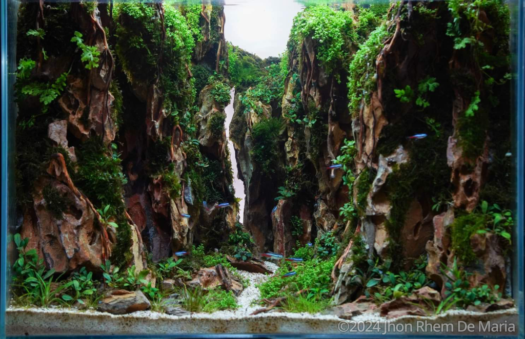 Haligi - Aqua Plants Hub