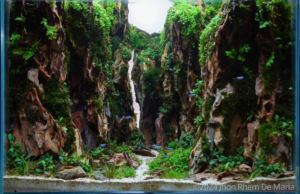 Haligi - Aqua Plants Hub