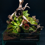 Nature’s Ambush - Aqua Plants Hub