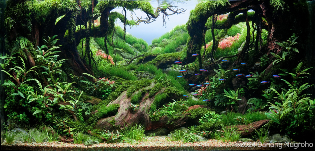 WONOGIRI - Aqua Plants Hub