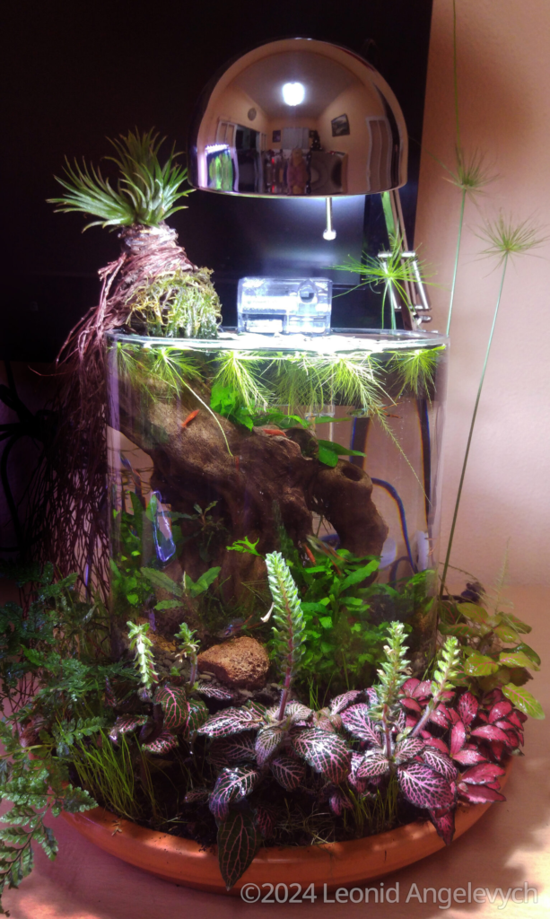 Earth, water and air fusion - Aqua Plants Hub