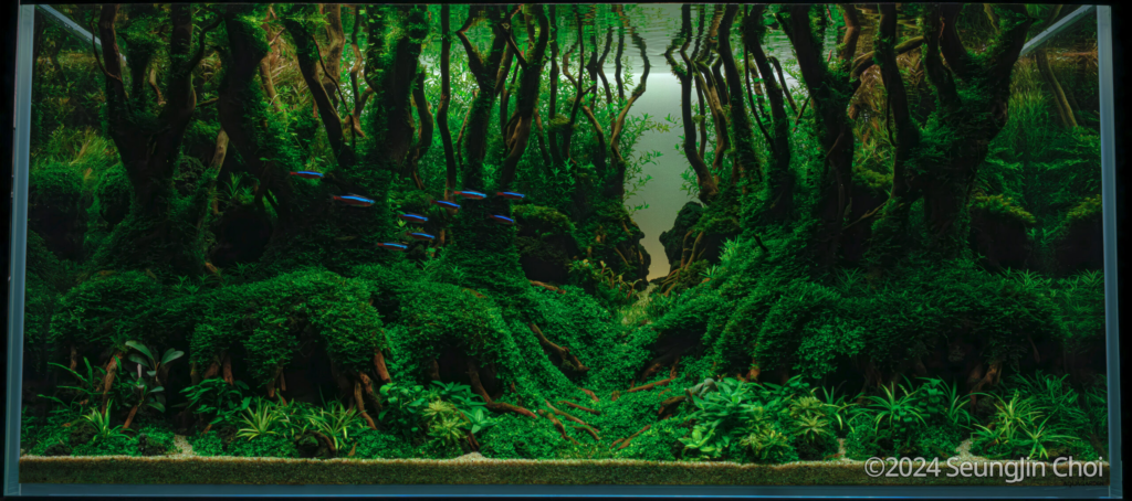 Gotjawal - Aqua Plants Hub