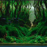 Gotjawal - Aqua Plants Hub